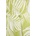 Fracomina Рокля Fracomina (FR26SD2020W835R8)