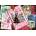 Trefl - Puzzle Emily in Paris: Fashion Magazine - 1 000 piese