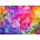 Enjoy - Puzzle Colourful Abstract Oil Painting - 1 000 piese