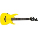 Ibanez UICT10