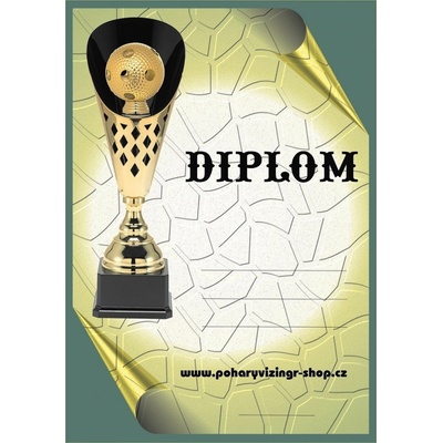 VIZINGR Florbal diplom A4 č.19