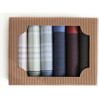 Ëtex Pánské látkové kapesníky v dárkové krabičce - 6 kusů M50-3 barevné