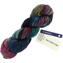Malabrigo Arroyo Camaleon 684 farby chameleónu