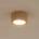 TK Lighting 11441