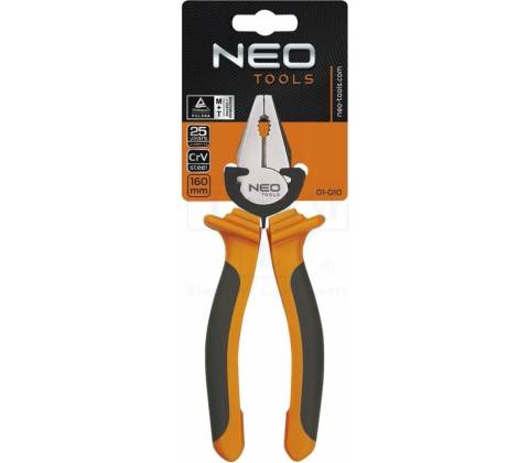NEO 01-010