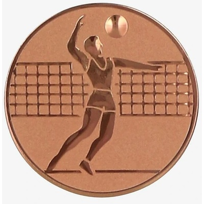 Volejbal Muži Emblém Nálepka na trofej Ø 25 mm bronzová