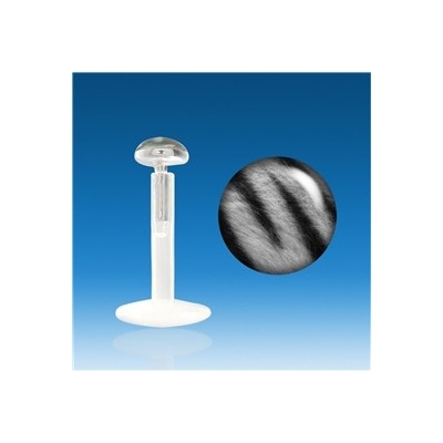 Piercingate labreta zebrovaná PLA00202
