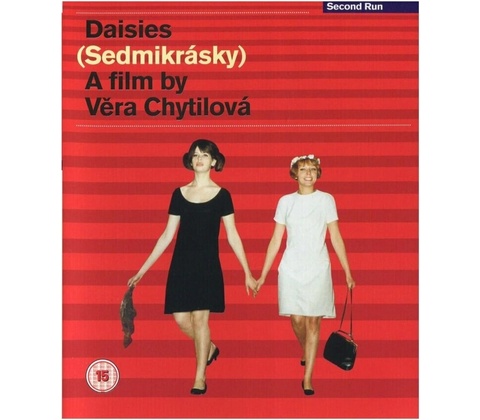 Daisies BD