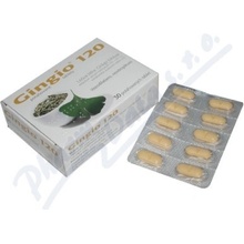 Gingio 120 filmom obalené tablety tbl.flm.30 x 120 mg