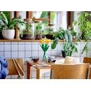 Image 1 of LEGO® Daffodils (40747)