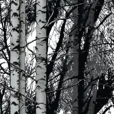 d-c-fix 346-8095 Samolepící fólie Wood rozměr 67,5 cm x 2 m
