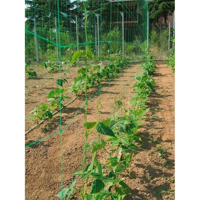 Bestent Oporná sieť pre popínavé rastliny 1,8x5m Garden
