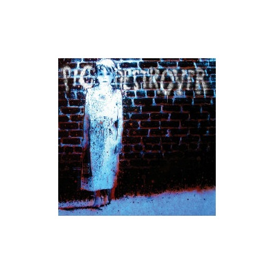PIG DESTROYER - BOOK BURNER LTD. LP