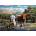 Ravensburger - Puzzle Cattle in the meadow - 500 piese
