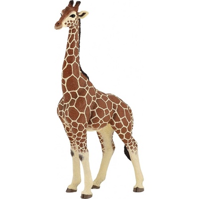 Papo Žirafa samec