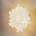 Slamp CLI78PLF0001A_000