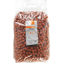 CAPERLAN Boilies na lov kapra Wellmix 10kg 20mm Monster Crab