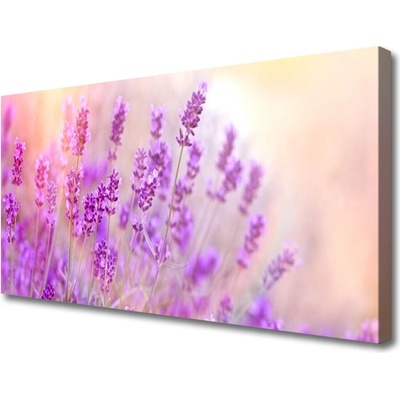 Obraz Canvas Levanduľovej pole slnko kvety 100x50 cm