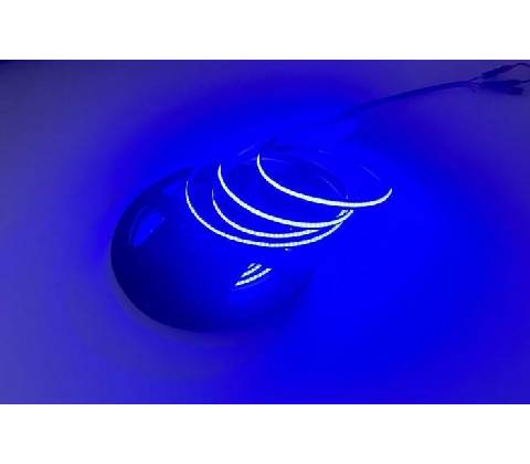 Eco Light EC20303