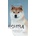 Shiba