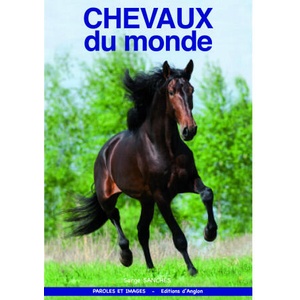 CHEVAUX DU MONDE | SANCHES (2022)