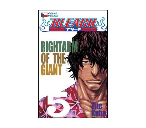 Bleach 5 - Tite Kubo