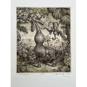 Peter Kľúčik, Madagaskar