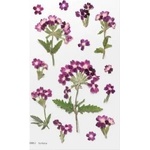 Appree Decorative flowers stickers - Verbena