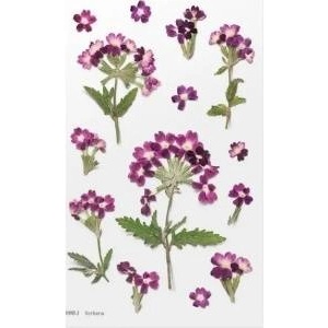 Appree Decorative flowers stickers - Verbena