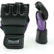 Evolution FIGHT MMA