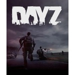Bohemia Interactive DayZ (PC)