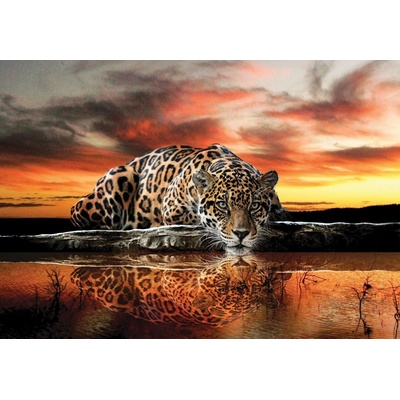 Postershop Fototapeta vliesováJaguár 1 , rozměry 416x254 cm