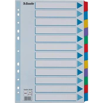 ESSELTE Регистър, ламиниран картон, А4, 12 броя, ESSELTE "Mylar" 100169 (100169)