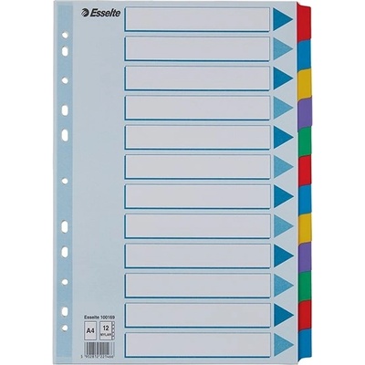 ESSELTE Регистър, ламиниран картон, А4, 12 броя, ESSELTE "Mylar" 100169 (100169)
