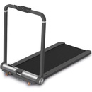 WalkingPad MC21