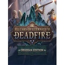 Pillars of Eternity 2: Deadfire (Obsidian Edition)