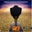 Ost - Despicable Me 2 CD