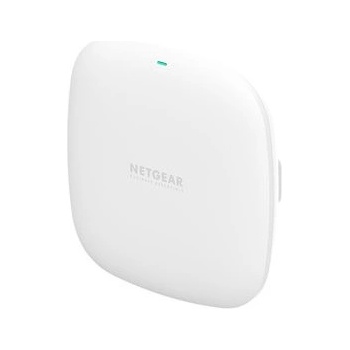 Netgear WAX210-100EUS