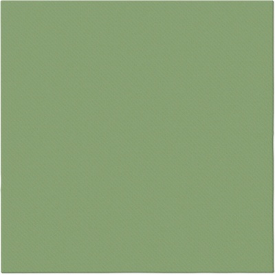 PAW Ubrousky PAW AIRLAID Monocolor Green 40x40cm 50ks