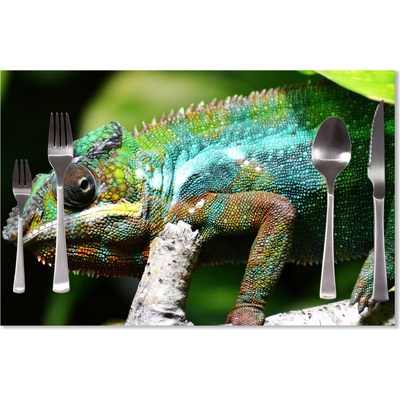 Sablio prostírání Chameleon 40x30cm
