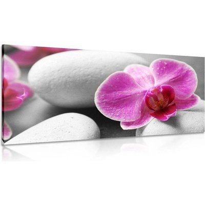 Obraz květiny orchideje na bílých kamenech - 80x40