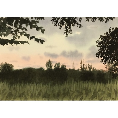 Alžběta Skálová: Horizont