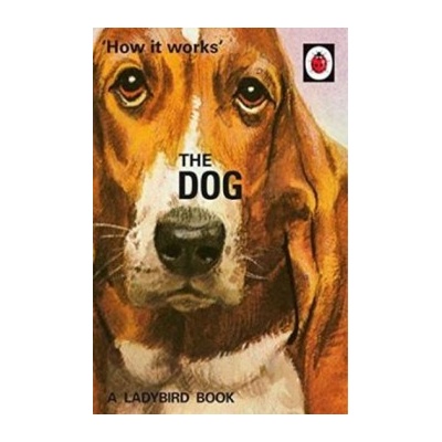 How It Works: The Dog Jason Hazeley