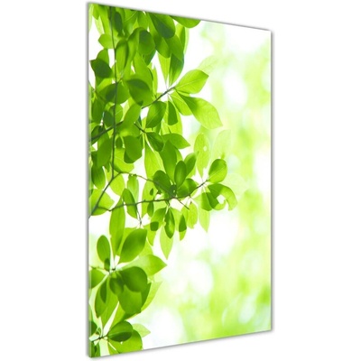 Vertikálny foto obraz sklenený Zelené lístie 50x100 cm