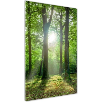 Vertikálny foto obraz sklo tvrdené Slnko v lese 50x100 cm