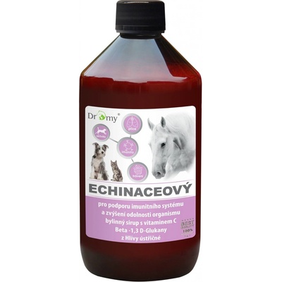Dromy Echinaceový sirup 1 l