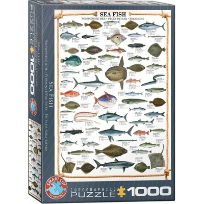 Eurographics Mořské ryby 1000 dielov