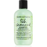Bumble and bumble Seaweed Shampoo шампоан за къдрава коса с екстракт от водорасли 250ml