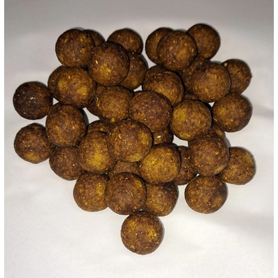 Real Baits Boilies parené 20 mm 1 kg Med Mušľa