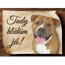 Sport hobby Cedulka Americký pitbulteriér Tady hlídám já! 20 x 15 cm